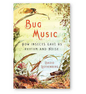 Cover of Bug Music by David Rothenberg. Courtesy macmillian Picador